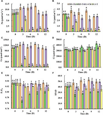 Molecular and physiological responses of two quinoa genotypes to drought stress